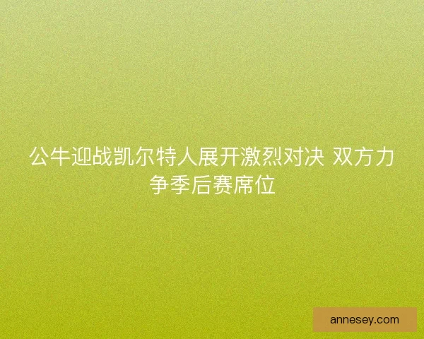 公牛迎战凯尔特人展开激烈对决 双方力争季后赛席位